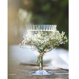 Champagne coupe – Crystalex Waterfall (Bohemia Cristal). Champagne coupe – Crystalex Waterfall (Bohemia Cristal).